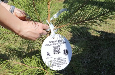 Сотрудники «Союза Маринс Групп» высадили деревья в Парке Победы 
